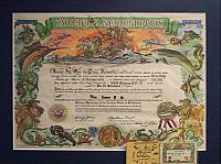 My shellback cert