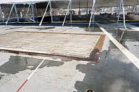 port_cat_JBD